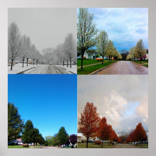 DE FYRA SEASONERNA POSTER (Framsidan)