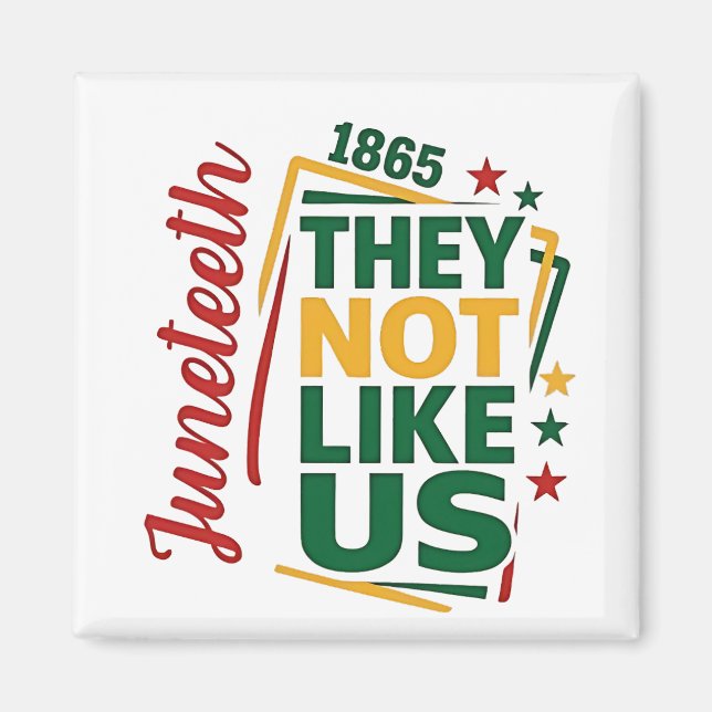 De gillar inte USA:s 1865 svarta historia Magnet (Framsidan)