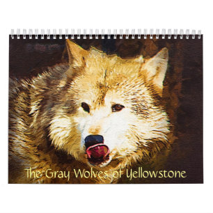 De gråa vargerna av Yellowstone Kalender