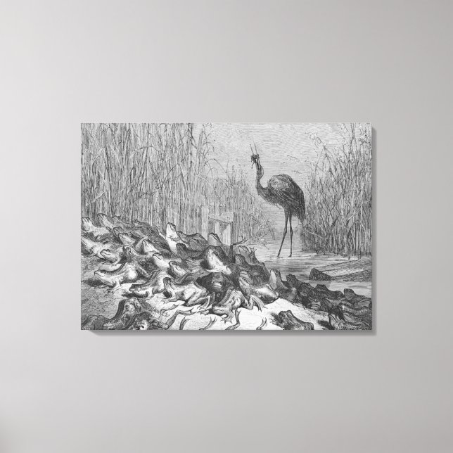 De grodor som ber om kung. canvastryck (Framsida)