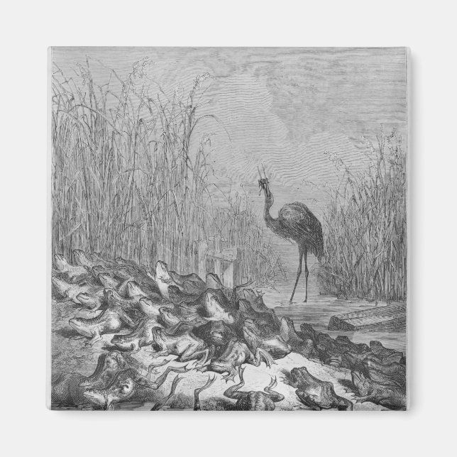 De grodor som ber om kung. magnet (Framsidan)