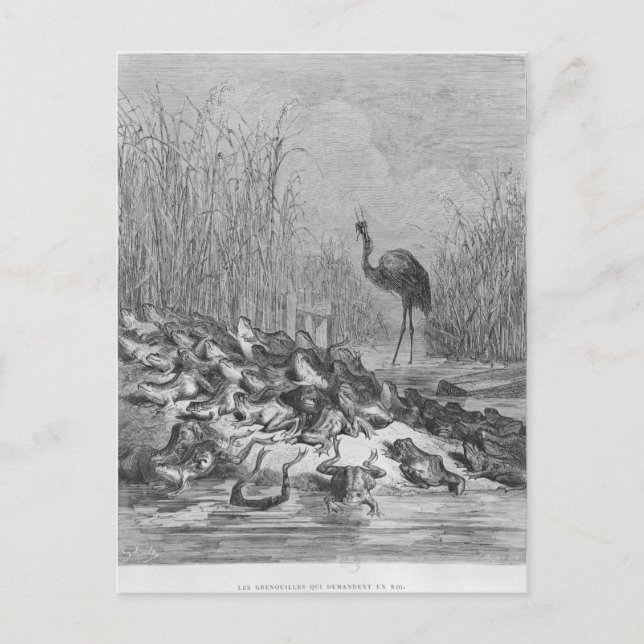 De grodor som ber om kung. vykort (Framsida)