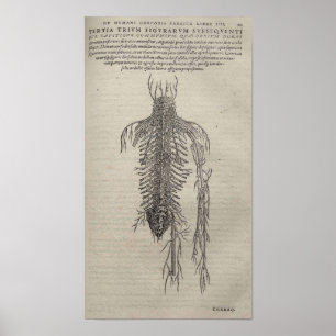 De Humani Corporis Poster