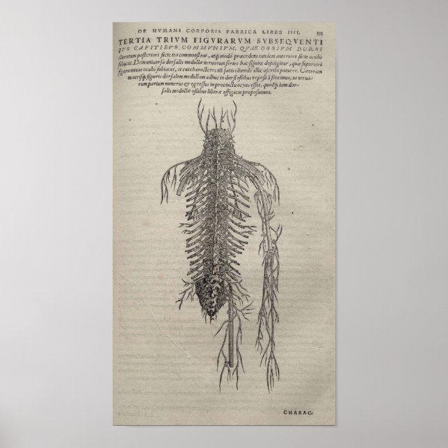 De Humani Corporis Poster (Framsidan)