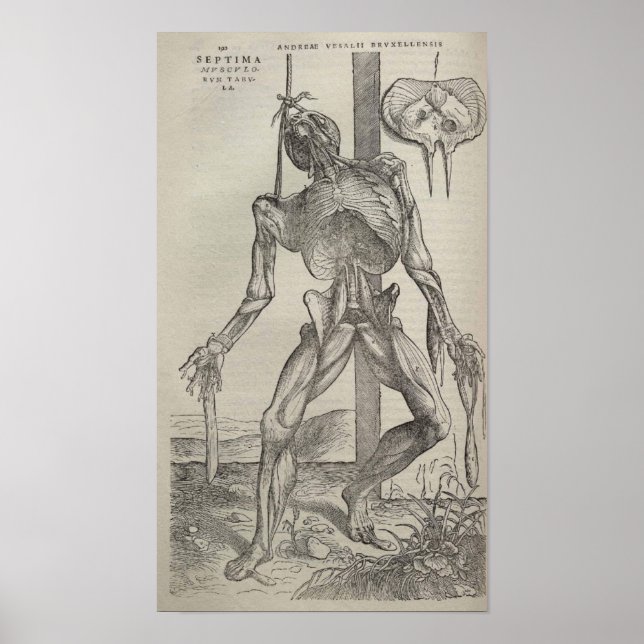 De Humani Corporis Poster (Framsidan)