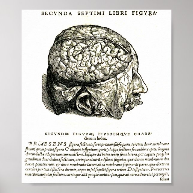 De Humani Corporis Poster (Framsidan)