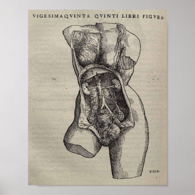 De Humani Corporis Poster (Framsidan)