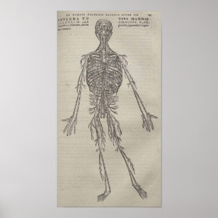 De Humani Corporis Poster