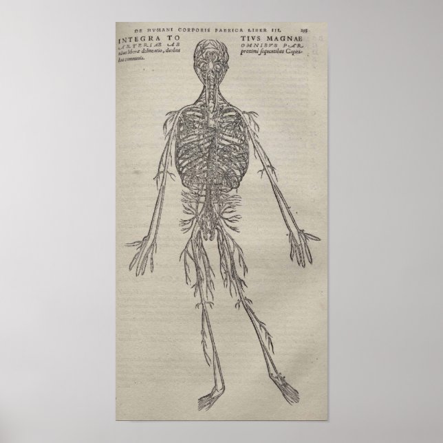 De Humani Corporis Poster (Framsidan)