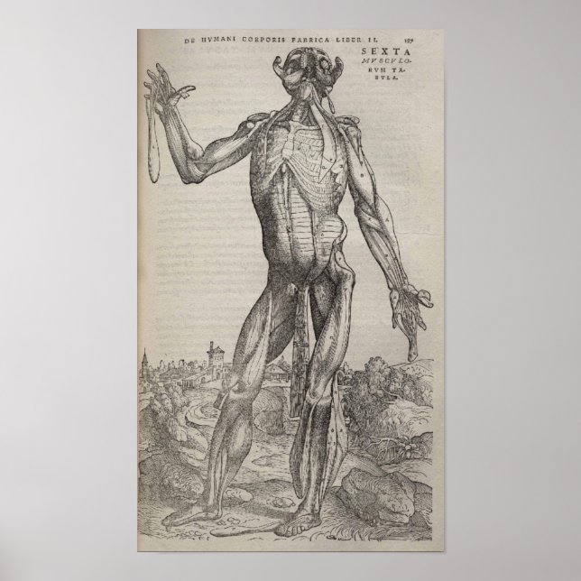 De Humani Corporis Poster (Framsidan)