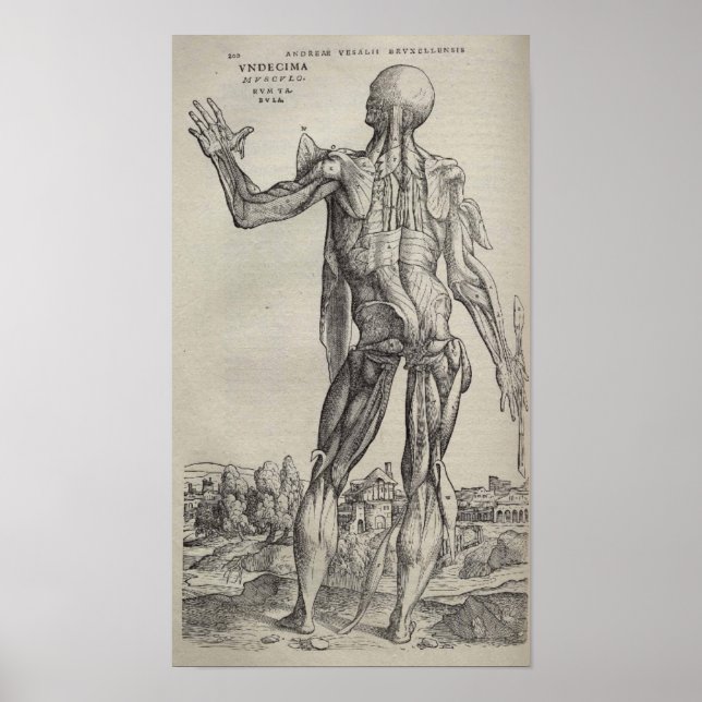 De Humani Corporis Poster (Framsidan)