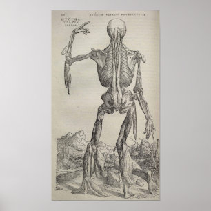 De Humani Corporis Poster