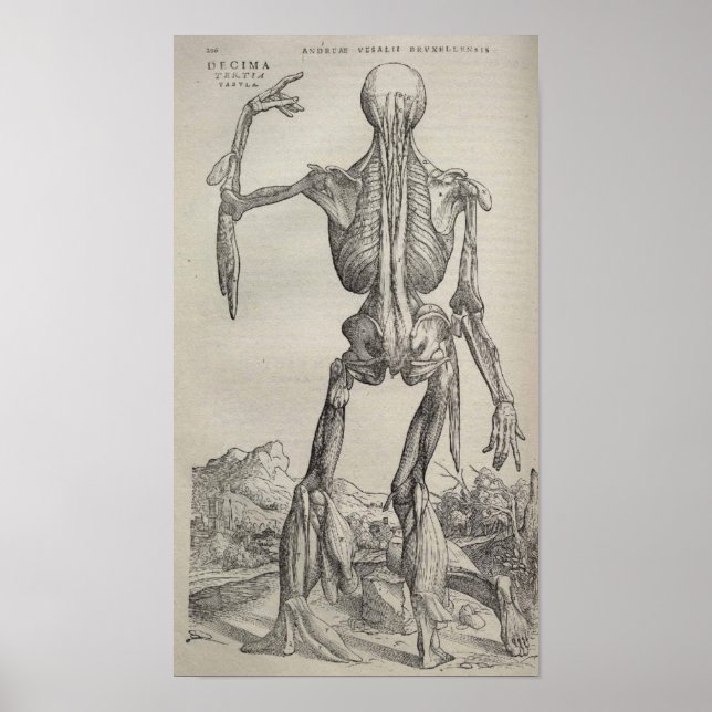 De Humani Corporis Poster (Framsidan)