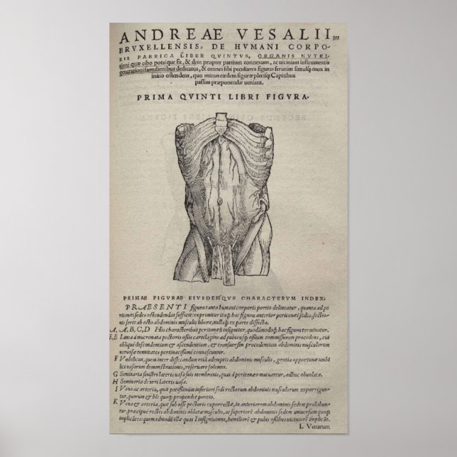 De Humani Corporis Poster (Framsidan)