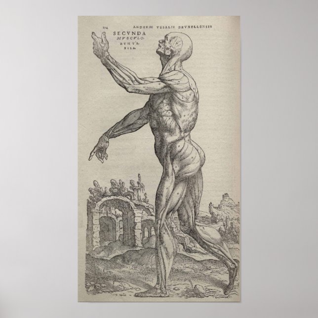 De Humani Corporis Poster (Framsidan)