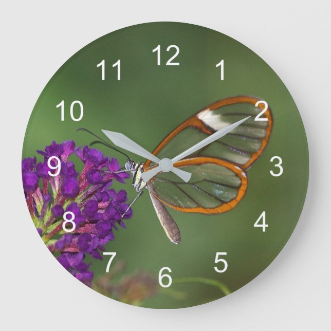 De kallar mig "clear-vinge" stor klocka (Framsida)