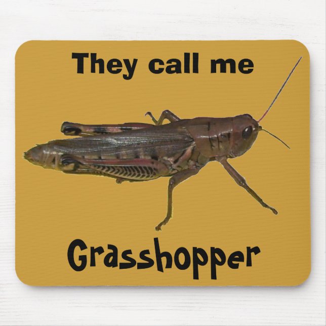 De kallar mig Grashopper Musmatta (Framsidan)