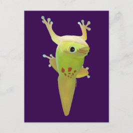 De kallar mig klibbig toes! DAY GECKO Vykort