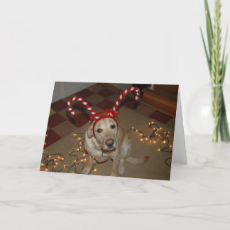 De-ljus jul! helgkort