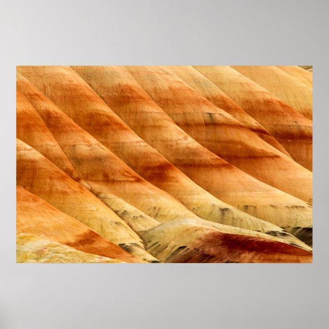De målade kullarna i John Day Fossil Beds 2 Poster (Framsidan)