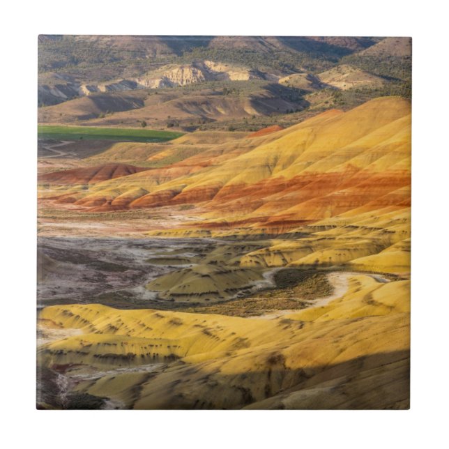 De målade kullarna i John Day Fossil Beds 3 Kakelplatta (Framsidan)