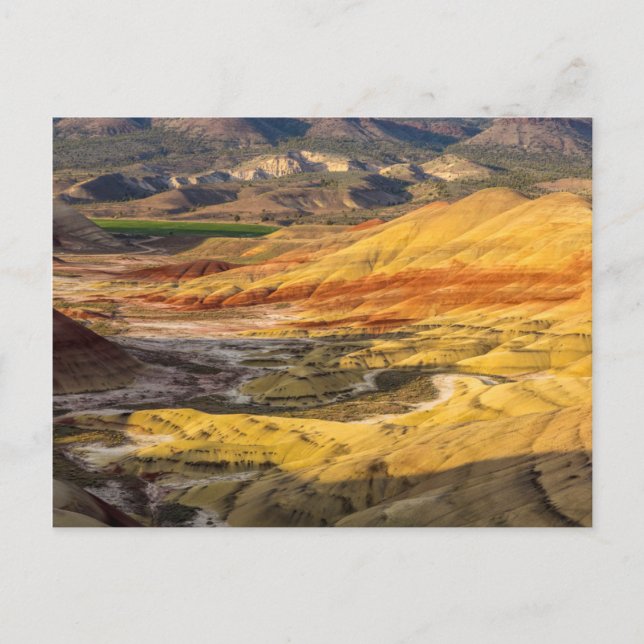 De målade kullarna i John Day Fossil Beds 3 Vykort (Framsida)