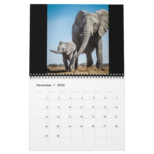 De minsta jättarna kalender (Nov 2026)