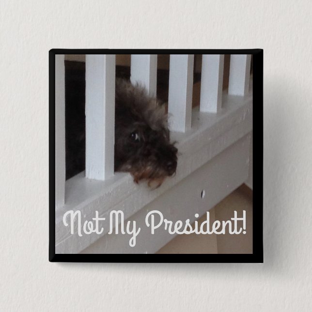 De något att sägahundar kan berätta god man från knapp (Framsida)