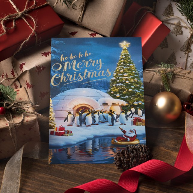 De nyfikna pingvinerna  vykort (Skapare uppladdad)