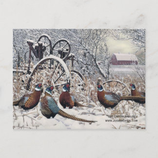 "De oberörbara" av Joshua Spies Vykort