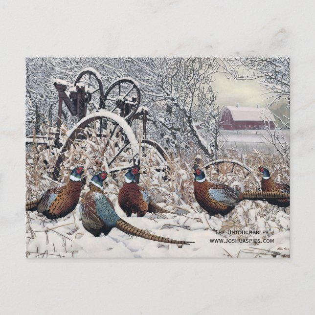 "De oberörbara" av Joshua Spies Vykort (Framsida)