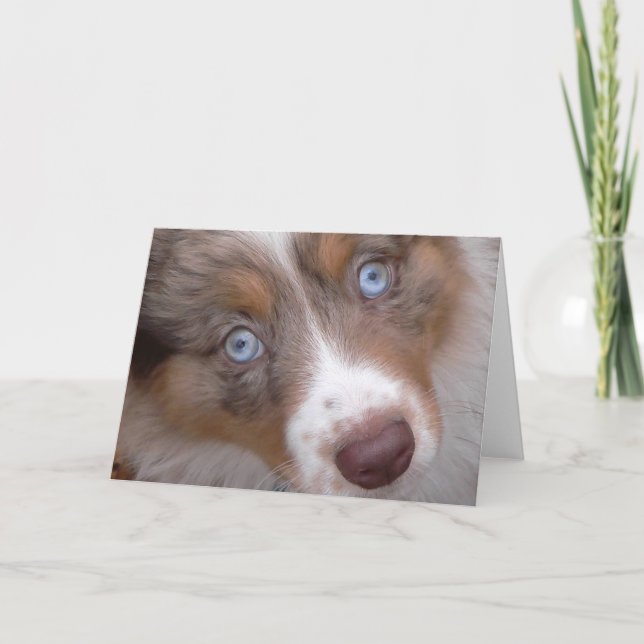 De ögon kort (Framsida)