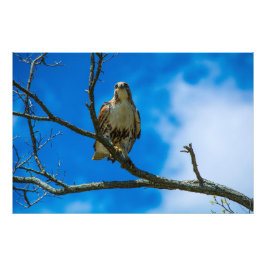 DE ÖGONEN 36 X 24 Kodak Pro Photo Fototryck