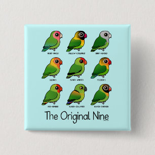 De original- niona knapp