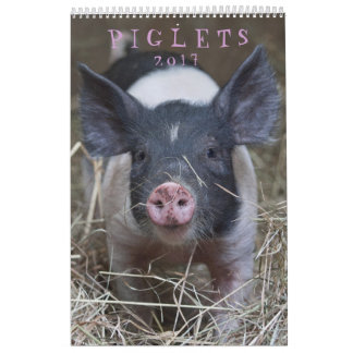 De Piglets - 2017 djura väggkalender Kalender