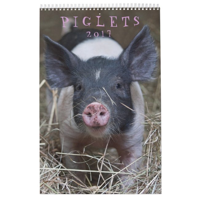De Piglets - 2017 djura väggkalender Kalender (Omslag)