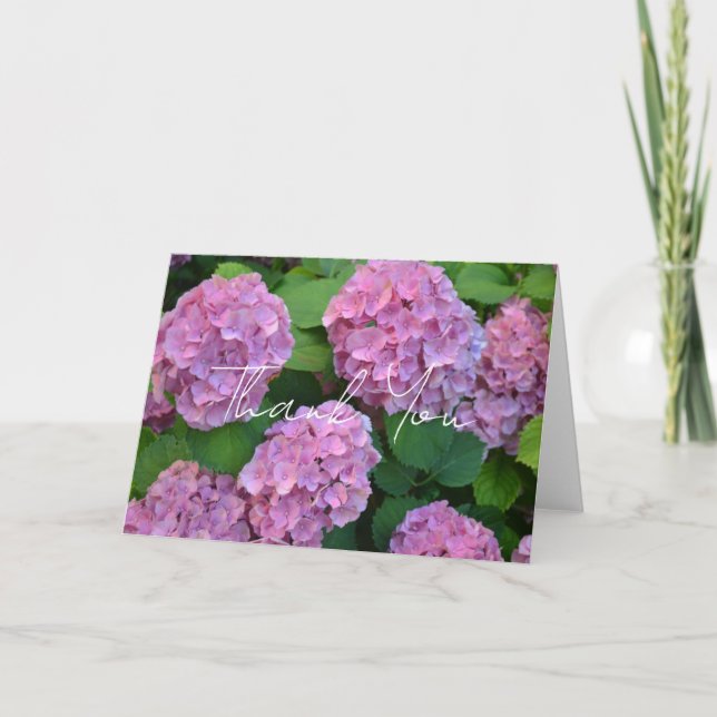 De rosa Hortensia-hortensia blommorna Tack Kort (Framsida)