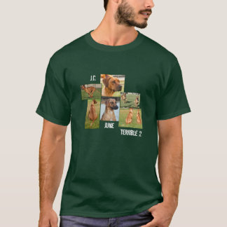 De ruskiga tvåna tee shirt