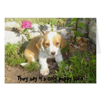De säger att det bara är valp kärlek hälsningskort