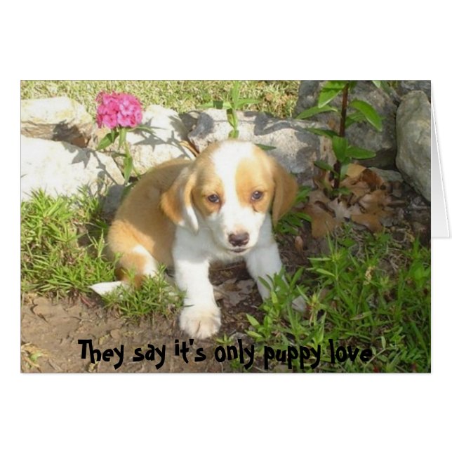 De säger att det bara är valp kärlek hälsningskort (Framsidan Horizontal)