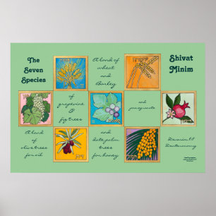 De sju arterna eller sjöfartsministeriet poster