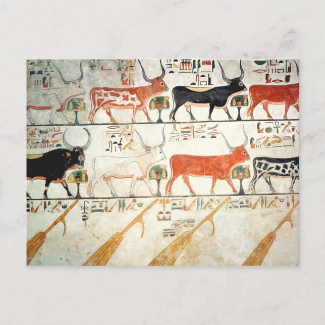 De sju himmelska korna och den sakrala tjuren vykort (Framsida)