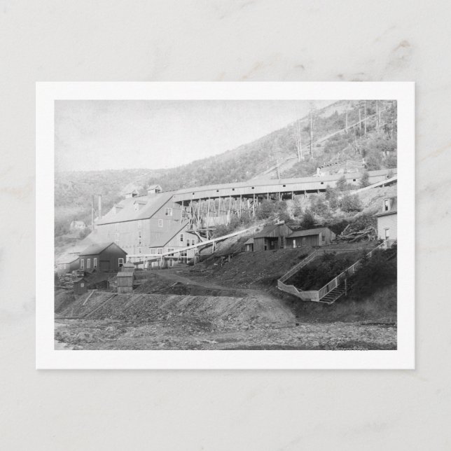 De Smet Guld Frimärke Mill i centrala staden Vykort (Framsida)