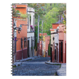 De Sollano Gata, San Miguel De Allende Anteckningsbok