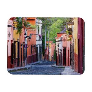 De Sollano Gata, San Miguel De Allende Magnet