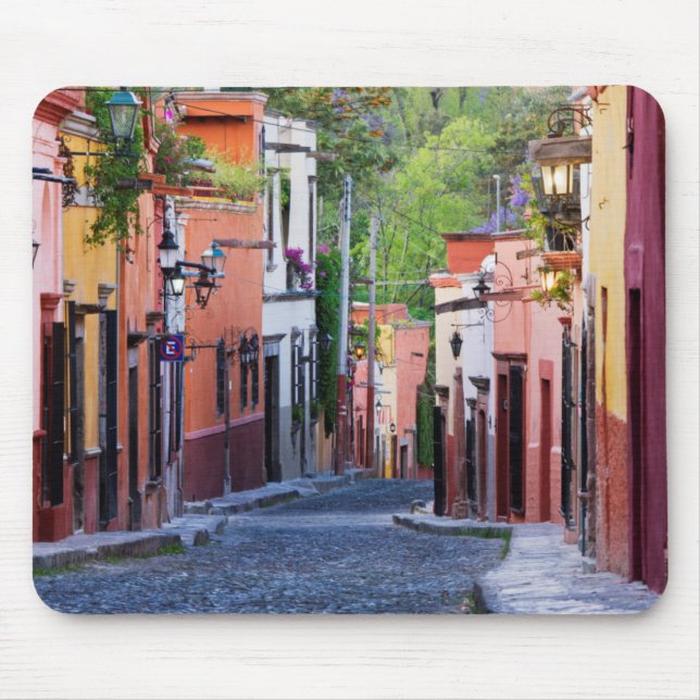 De Sollano Gata, San Miguel De Allende Musmatta (Framsidan)