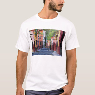 De Sollano Gata, San Miguel De Allende T-shirt