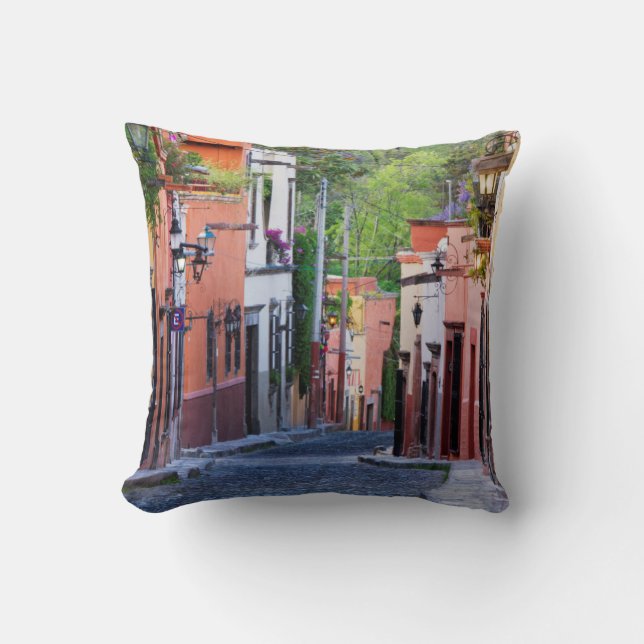 De Sollano Street, San Miguel De Allende Kudde (Framsida)