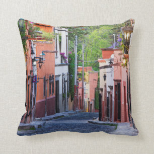 De Sollano Street, San Miguel De Allende Kudde