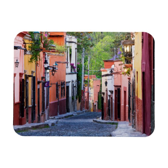 De Sollano Street, San Miguel De Allende Magnet (Horisontell)